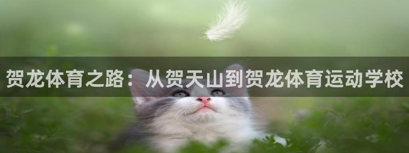 贺龙体育之路：从贺天山到贺龙体育运动学校