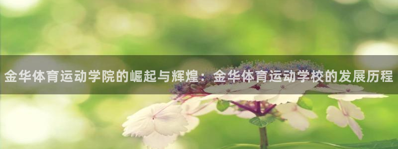 金华体育运动学院的崛起与辉煌：金华体育运动学校的发展历程